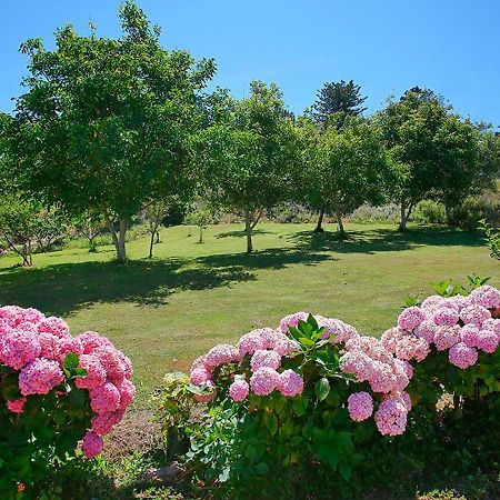 Reinante Pension Casa Elena المظهر الخارجي الصورة